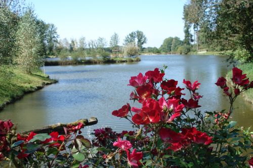 L'étang de Nadine et Georges MACARY  pour concours de pêche à Concèze. Etang privé de 0,90 ha pour la pêche situé a moins d'un km du gîte de Leycuras